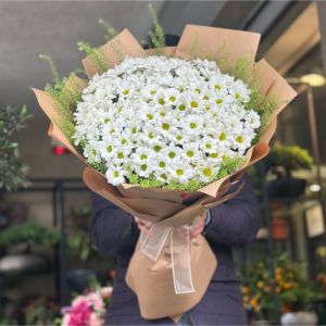 Kemer Florist - Daisy & Gerbera