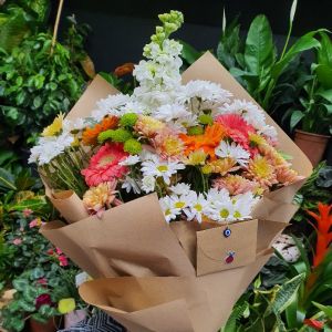  Kemer Florist - Die Jahreszeiten & Wildblumen