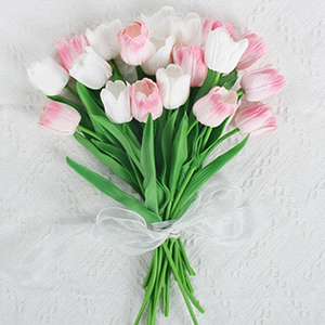 Kemer Florist - Tulpe