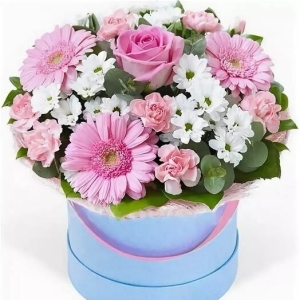  Kemer Çiçek Gönder - Kutuda Gelbera Ve Krizantem