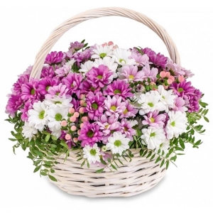  Kemer Çiçekçiler - Sepette Karışık Renklerde Papatyalar
