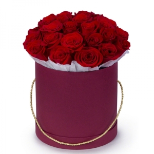  Kemer Çiçekçiler - Delici bakış