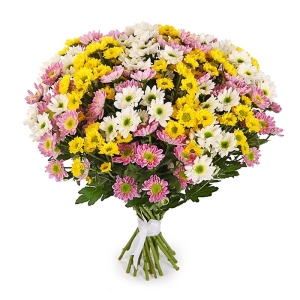 Kemer Çiçekçi - 31 Adet Papatya